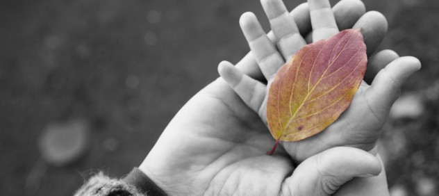 When You Have Questions About Your Healing Journey