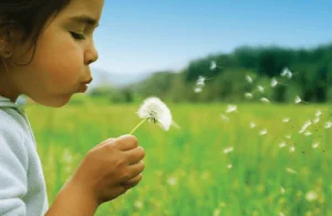 Allergies