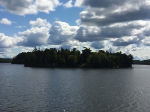 Lake at Woods