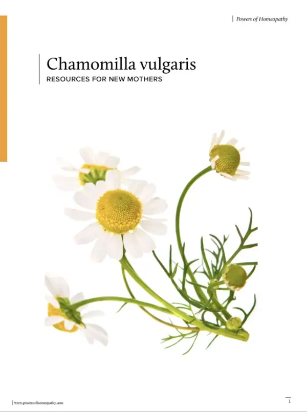 Chamomilla Vulgaris