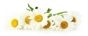 Homeopathy Course Online