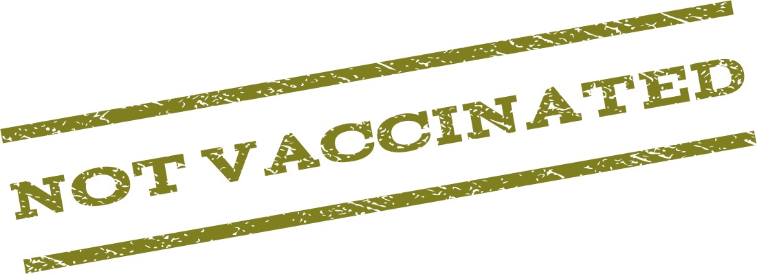 alternatives to vaccines