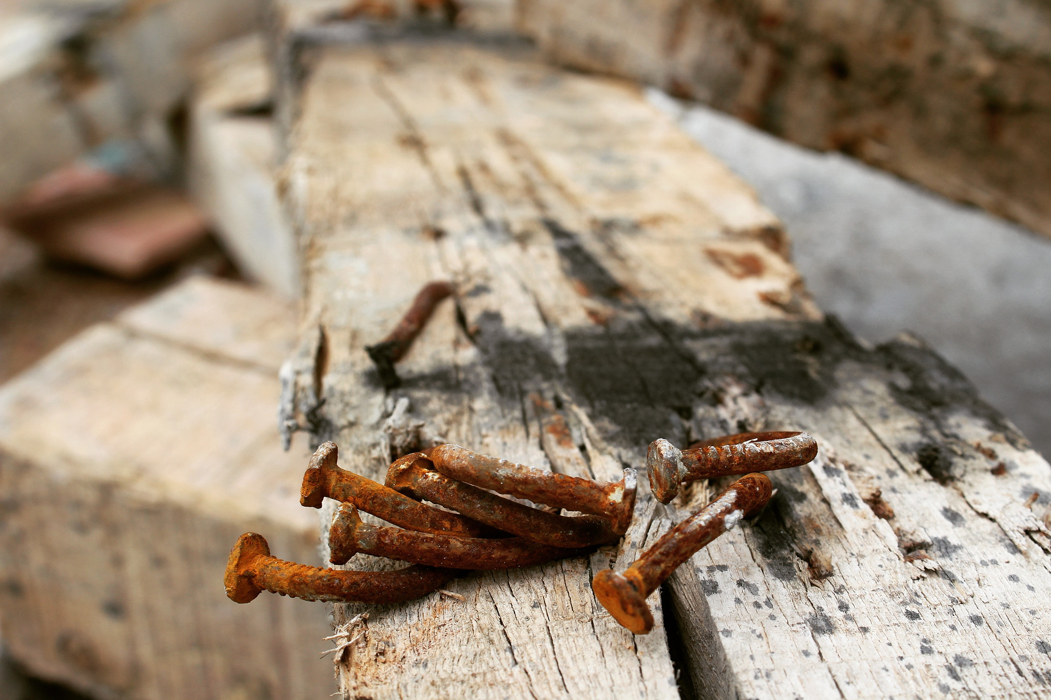 homeopathic remedies for tetanus