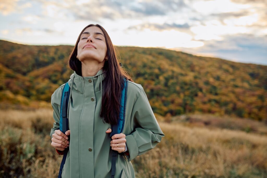 homeopathy for perimenopause