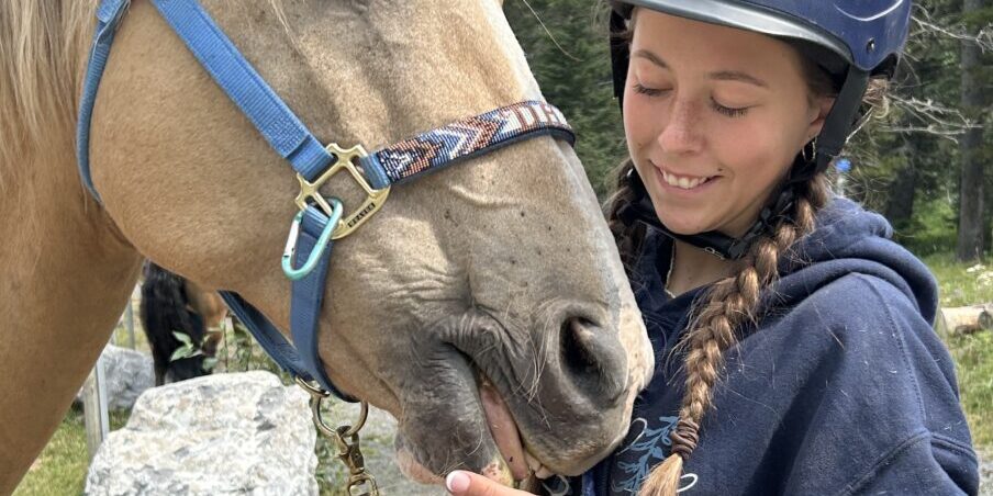 Homeopathy for Horse